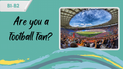 a stadium full of football fans who are cheering and a slogan - are you a football fan?
