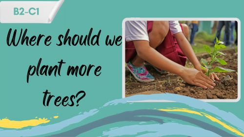 a child planting a tree and a slogan - where should we plant more trees