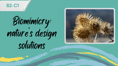 a photo of burrs that inspired velcro, and a slogan "biomimicry: nature's design solutions"