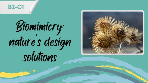 a photo of burrs that inspired velcro, and a slogan "biomimicry: nature's design solutions"