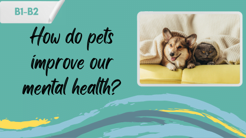 a photo of a dog and a slogan - "How do pets improve our mental health?"