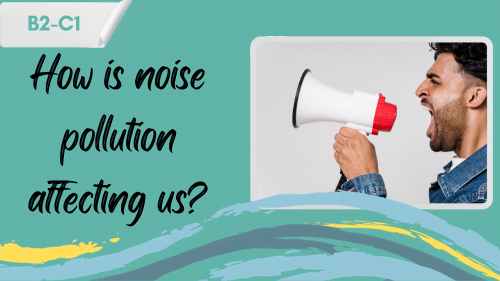 a person holding a loudspeaker and a slogan - how is noise pollution affecting us?